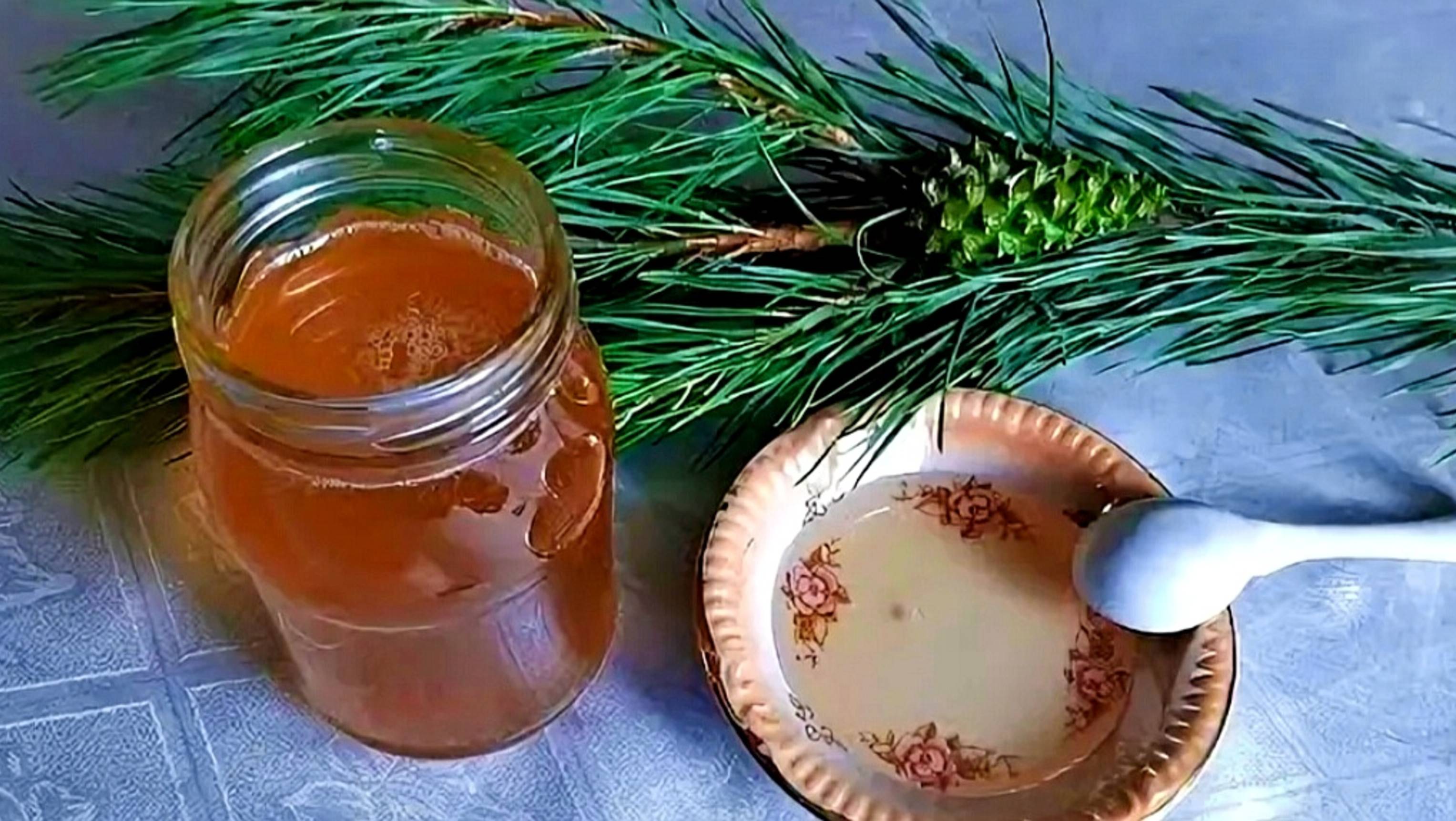 ВАРЕНЬЕ ИЗ ШИШЕК СОСНЫ рецепт