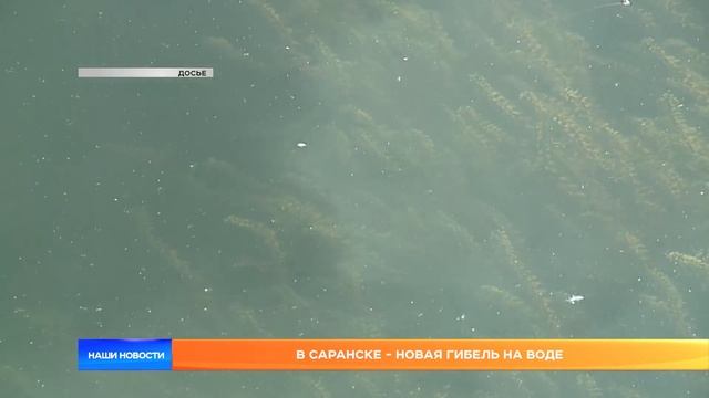 В Саранске - новая гибель на воде