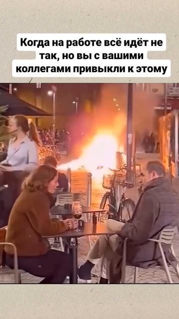 Коллеги
