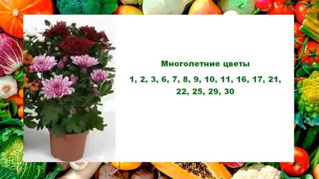 Благоприятные дни для посадки растений в мае 2025 года по Лунному календарю