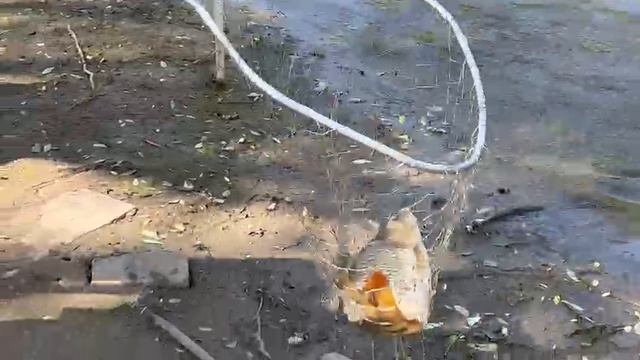 27.05.25 г. парк отдыха водопад