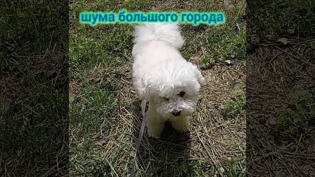 Май 2025, Хабаровск
