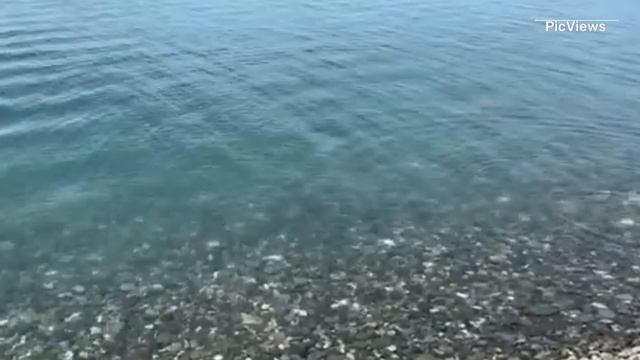 Сочи Адлер сегодня 27 мая 2025. Погода, Чёрное море идеальное, пляж чистый, никакого мазута