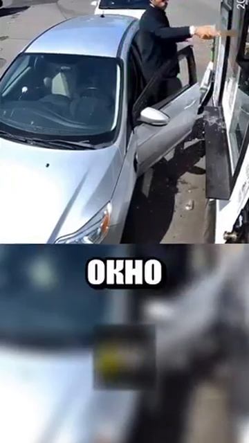 i11ushenka (501)