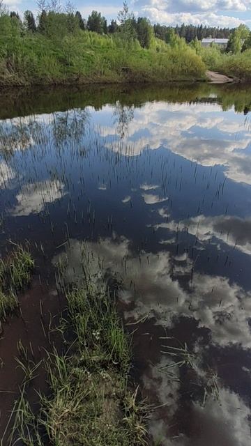 п. Островское Костромской области. Река МЕРА