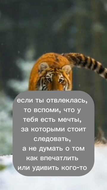 Мотивация. Вера в себя