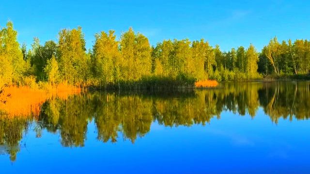 вечер в снт4