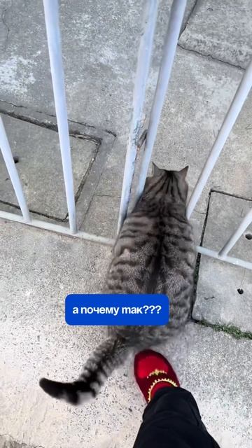 Напоминаем, что до 4 июня действует акция на Check-Up «Снижение веса»