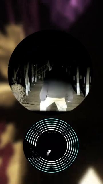 Видео из Тик Тока