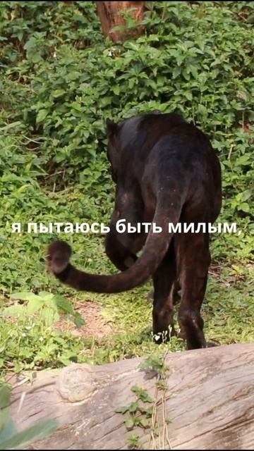 Все мы разные!