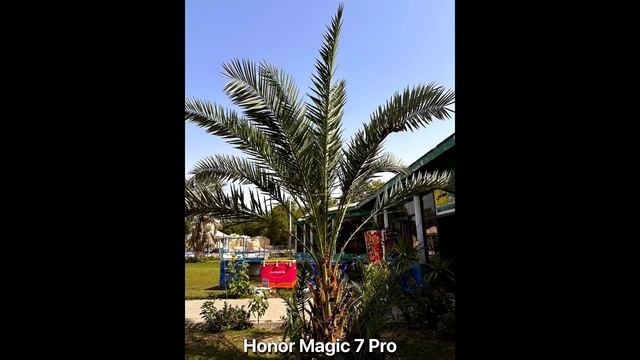 Honor 400 Pro Vs Honor Magic 7 Pro Vs Honor 300 Pro - сравнение камер в реальной жизни