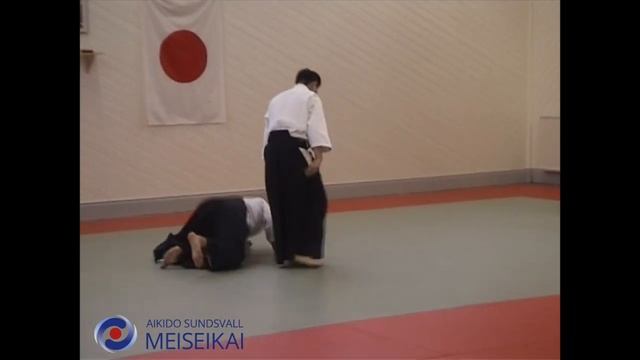 34 Aikido Tsuki Ikkyo Ura Shishiya Sensei Sandviken 2002