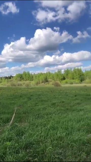 д. Моденово 50:18:0080421:1421