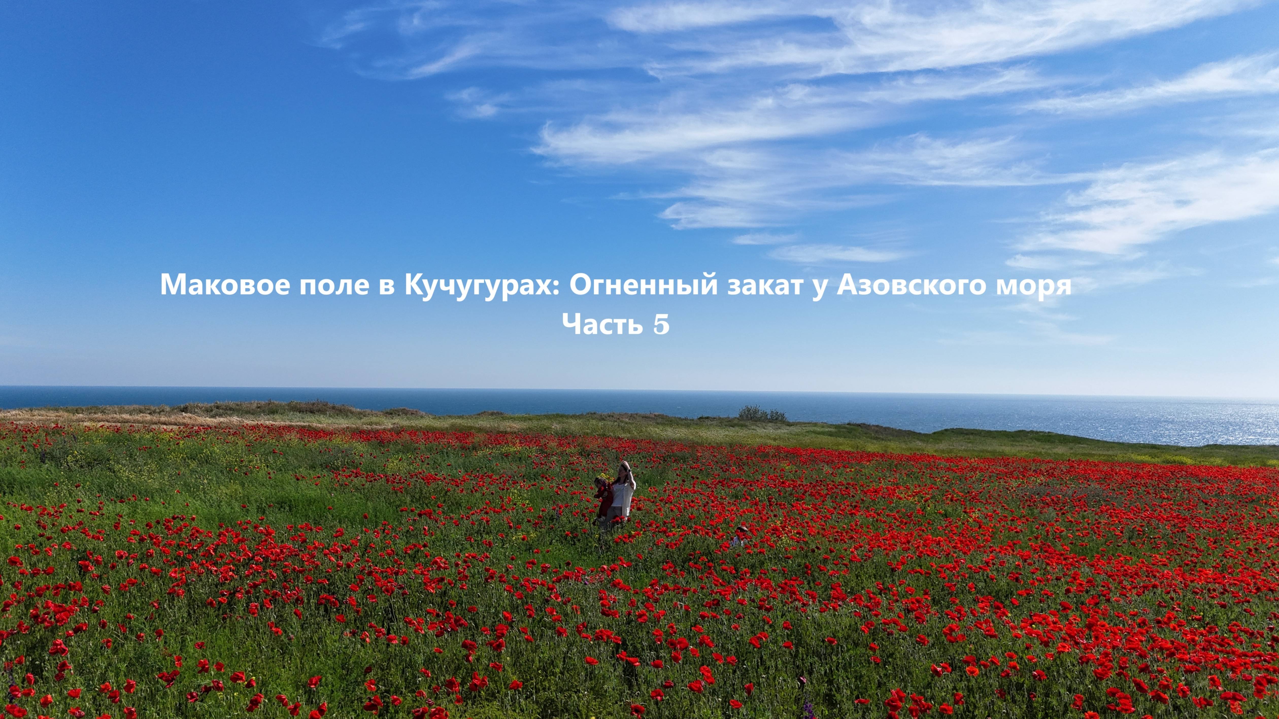 Маковое поле в Кучугурах: Огненный закат у Азовского моря. (Часть 5)