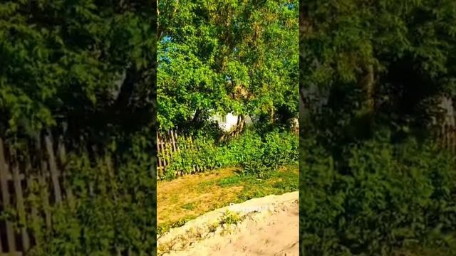1000311288.mp4