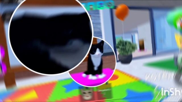 песня маленькие котики с картинками
