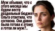 Истории из жизни. Муж объявил жене, что с этого дня раздельный бюджет. Аудиорассказы. Рассказы