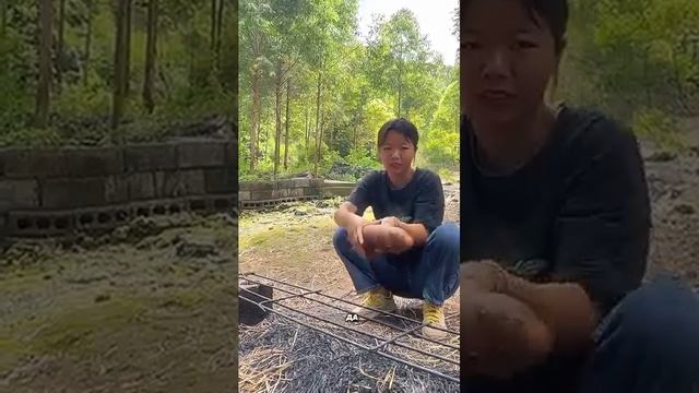 VID_20250527_223547_106.mp4
