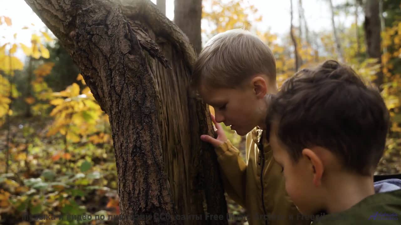 Поля и мелодия проникают под кожу мгновенно - Eternal -- Kirk Osamayo -- Season Two (PURPLE)
