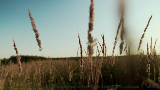 Музыка наполняет сердце звуками других миров - 20 Minute Meditation 9 -- HoliznaCC0 -- Space - Sleep