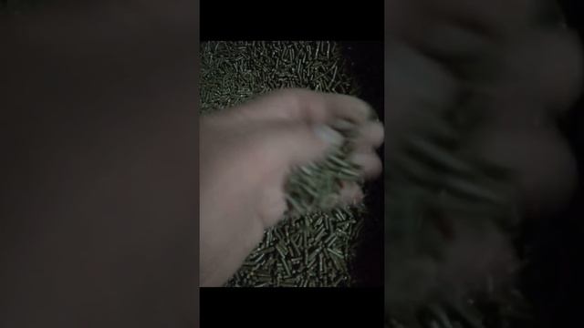 Видео От Реального Клиента В Работе Наша Рабочая Часть Пресс Гранулятора DR 150 inHome Комбикорм Для