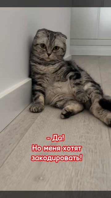 Хобби