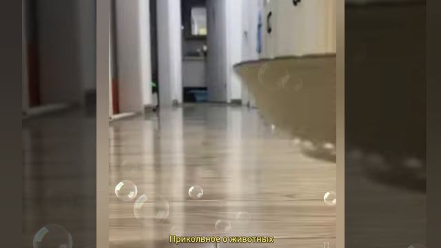 ПОСЛЕ БУРНОЙ.. НОЧИ