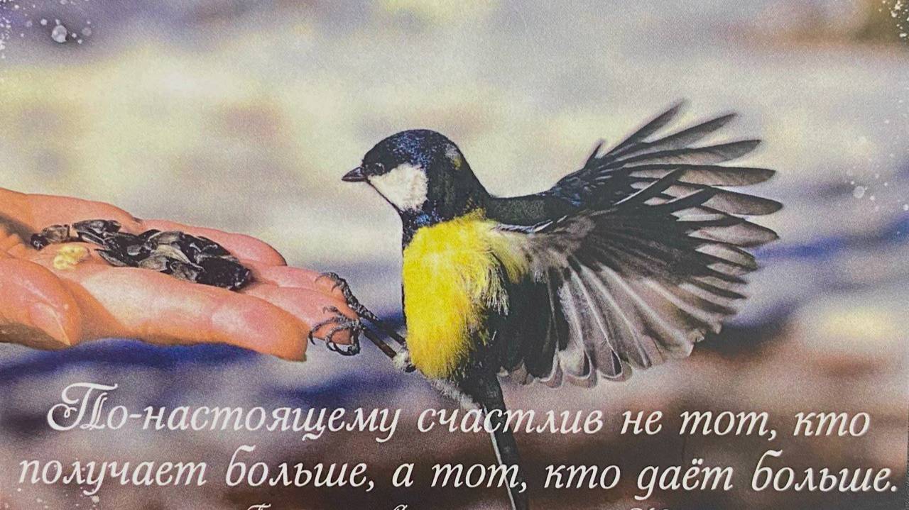 "Не жили богато - не надо начинать". Встречи с Инструктором Нейрографики.