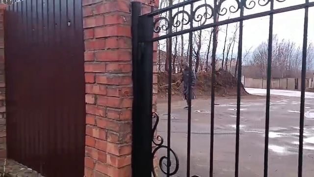 Мамочка, у меня все отлично, гуляю с Василием за огородом, ем кашу, играю!!!