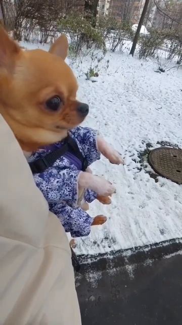 Ну холодно