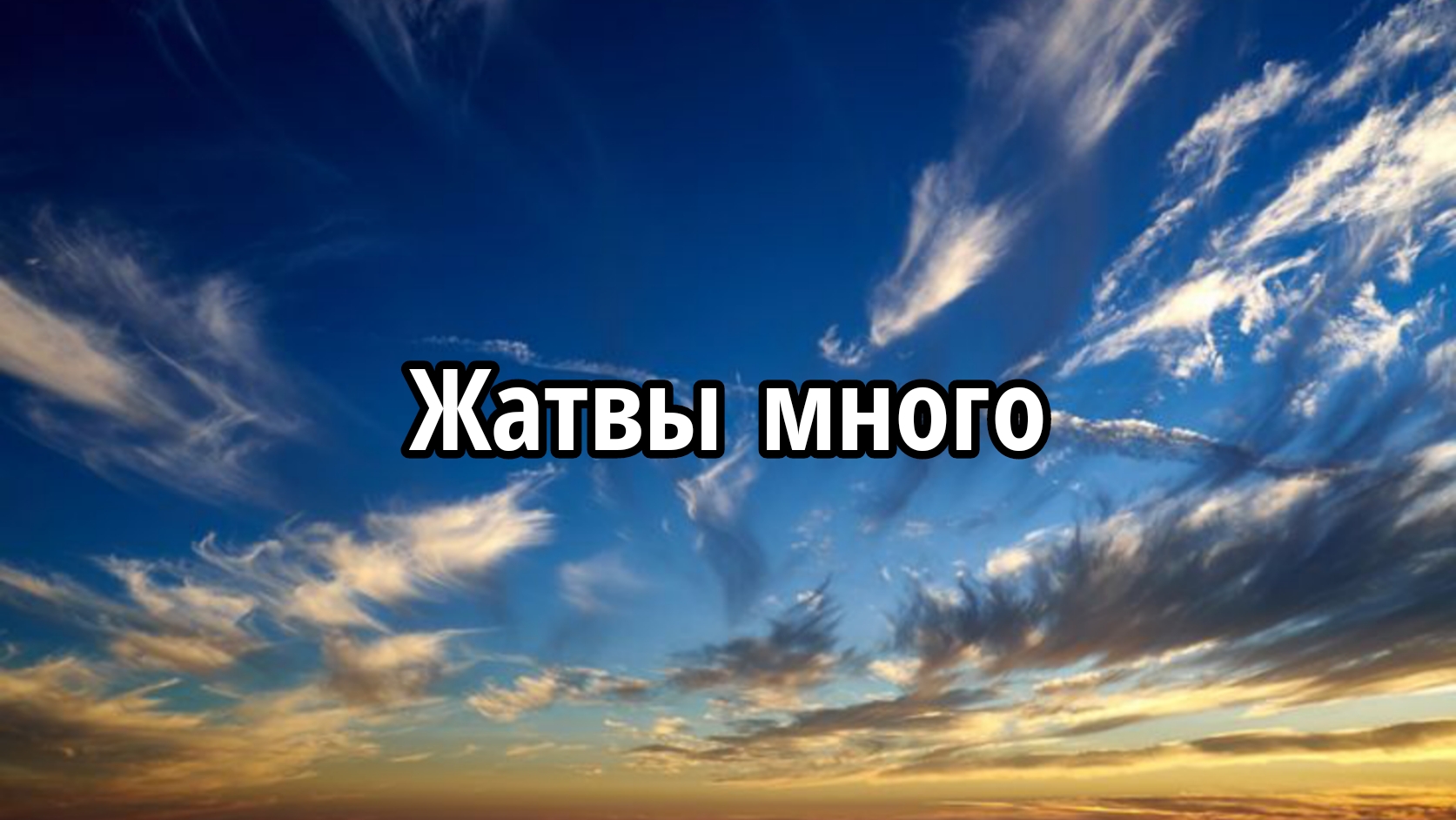 Жатвы много