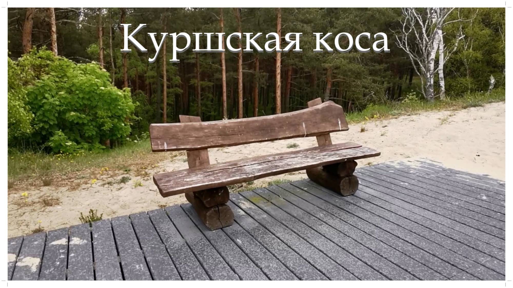 Куршская коса