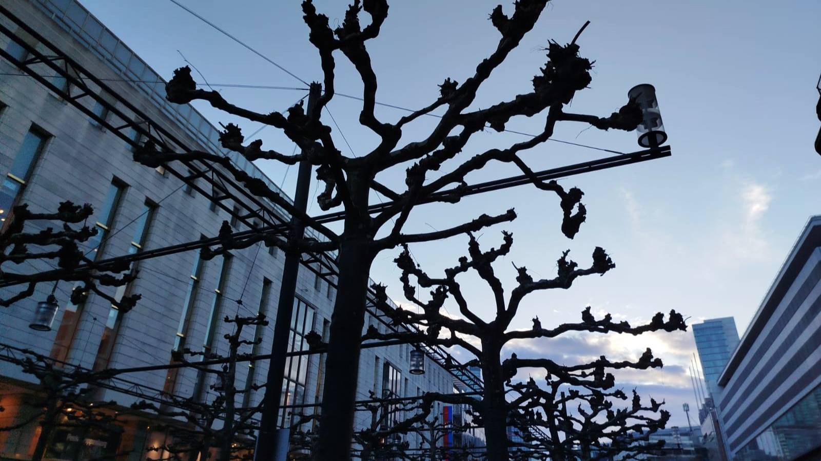 ФРАНКФУРТ. БЛЕСК И НИЩЕТА. ЦЕНТР ГОРОДА - HAUPTWACHE. 22.03.25