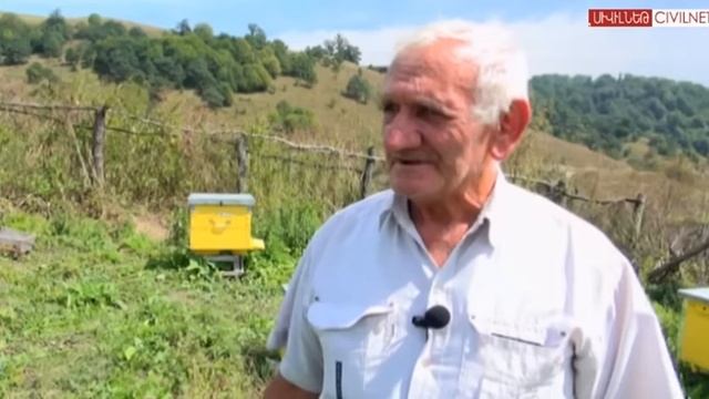 Շամշադինի Համը