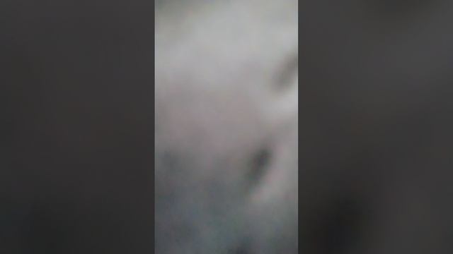 новая песня готовая Мы с подругой без мальчишек