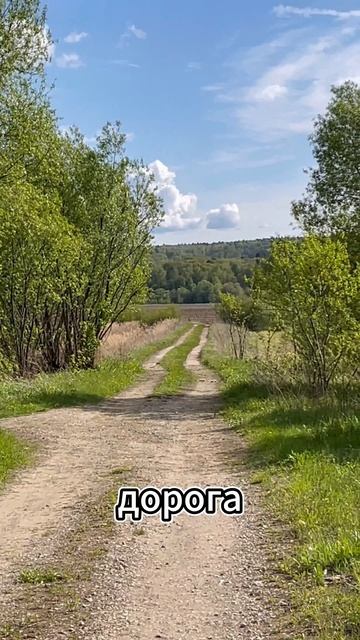 Искатели сокровищ ЧАСТЬ 1