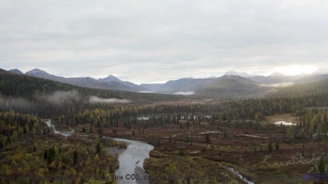 Песня, которая звучит громче, когда поёшь её хриплым утром в палатке - 20 Minute Meditation 8 -- Hol