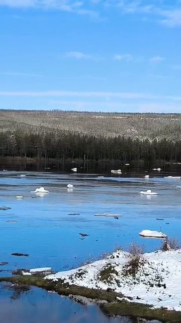 Весна в Туре.