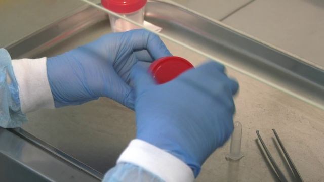 Количество жителей Воронежской области, укушенных  клещами, приближается к тысяче