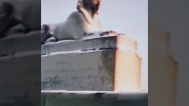 Пою Стая голубей, за поездом летела Автор стихи Мэри Сказ Музыка 👏👏👏