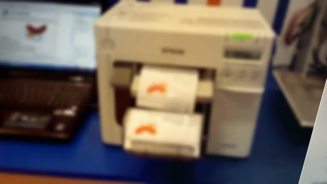 Тестовая печать на Epson ColorWorks C3500 — Цветные этикетки