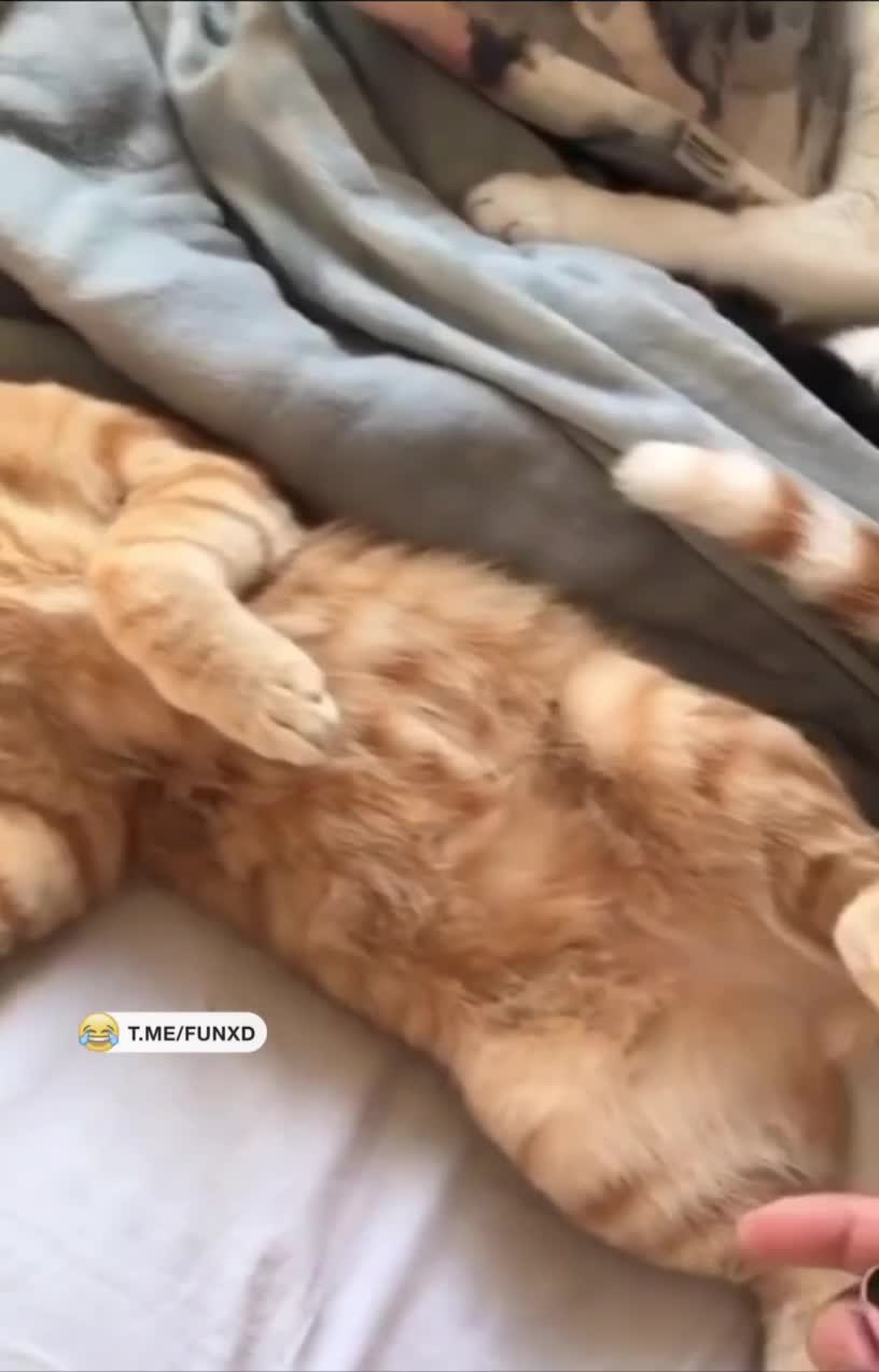 Доброе утро!😅