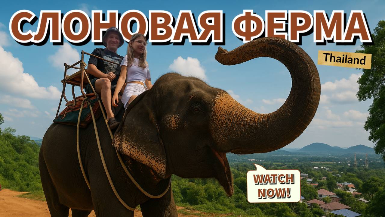 Гиганты с доброй душой 🐘 Слоновая ферма в Таиланде 🌴 Путешествие в Таиланд