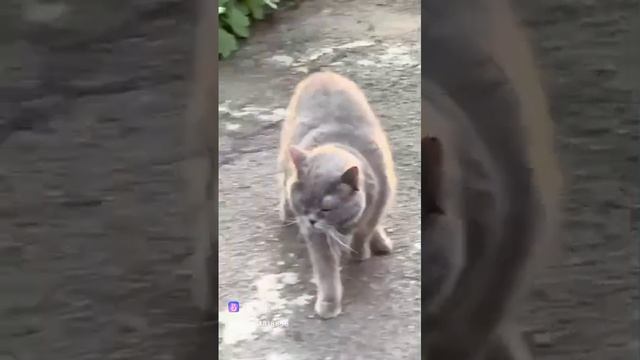 1000040710.mp4