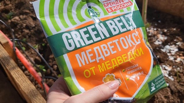 Сумасшедшие томаты//Как сэкономить на земле Лайфхак//Велопрогулка