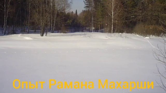 Опыт Рамана Махарши