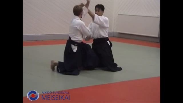35 Aikido Suwariwaza Shomen Uchi Gokyo Shishiya Sensei Sandviken 2002