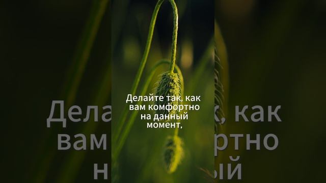 Что поможет пережить темную полосу
