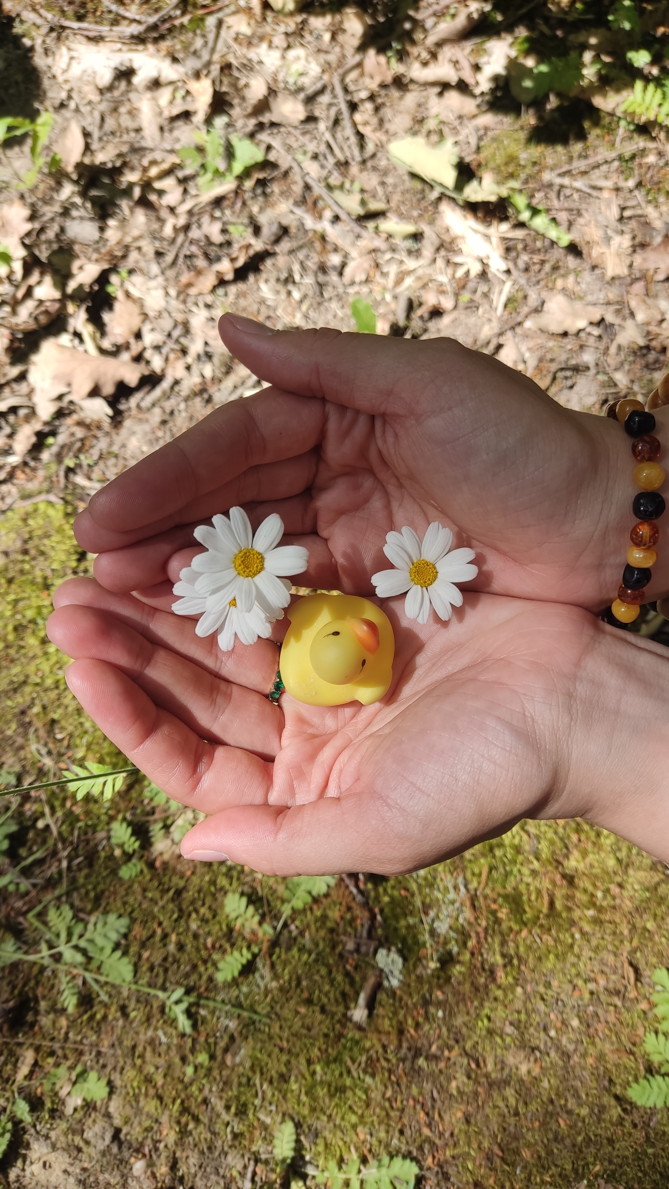 Пикник с хот-догами Яцунов бугор из нашей прогулки #eriadventure #туризм #геленджик #поход #shorts