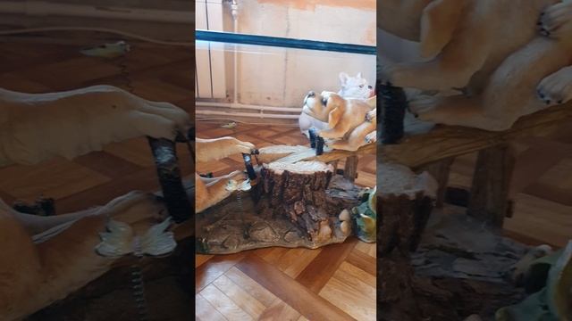 Стол